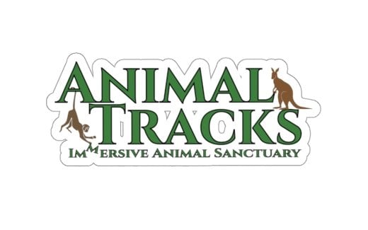 Animal-Tracks