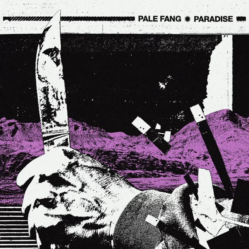Pennsylvania Psych-Punk Quartet Pale Fang Debuts Video for “Paradise”