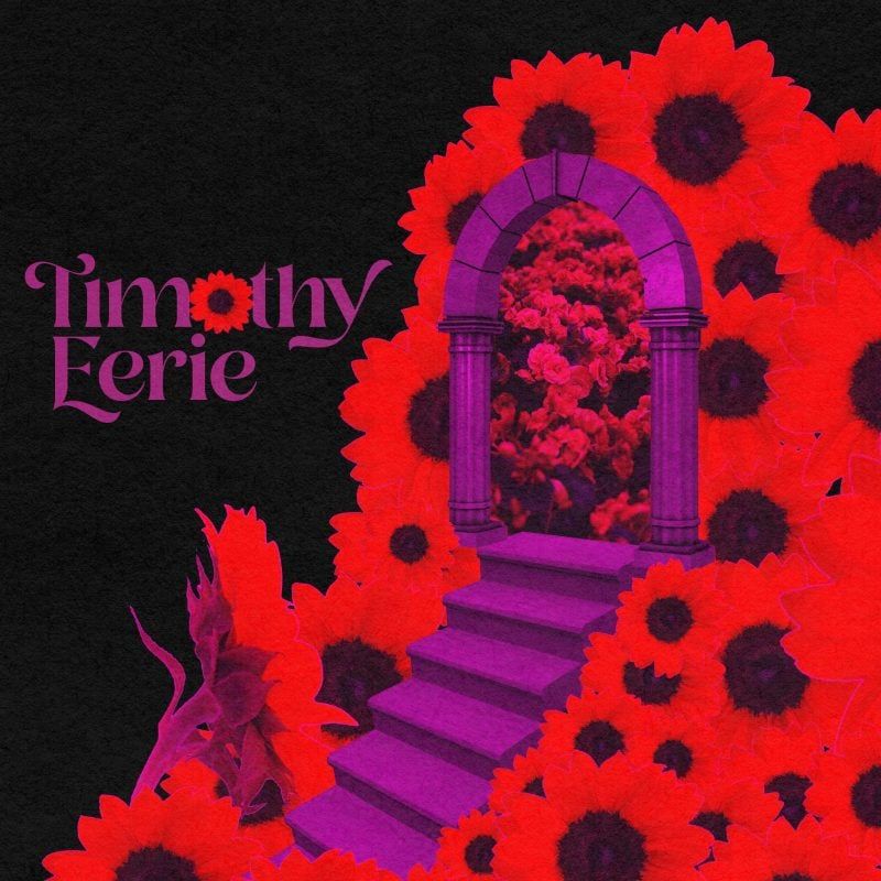 Listen to the Psychedelic Alt Rock of Timothy Eerie’s New Single “Your Own Trip”