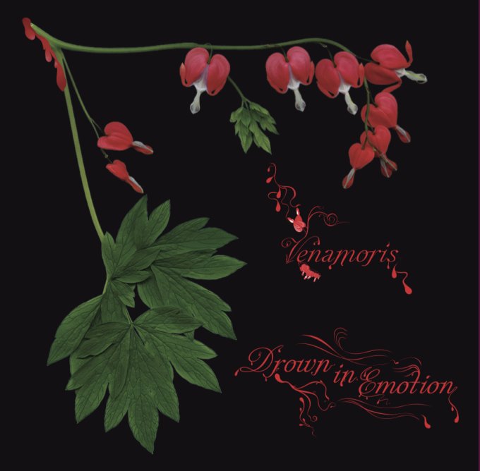 Listen to “Crimson Tears,” A New Song from Dave Lombardo’s Venamoris