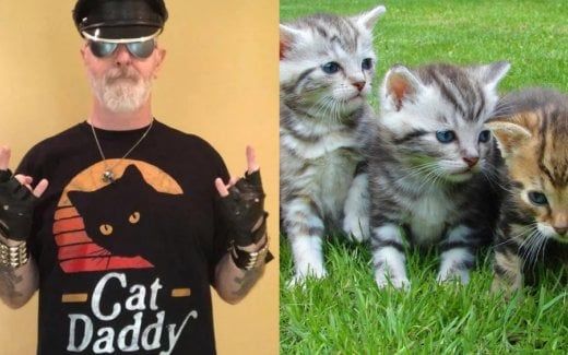 Rob Halford and Other Metal Celebs Donate to Kitten Charity