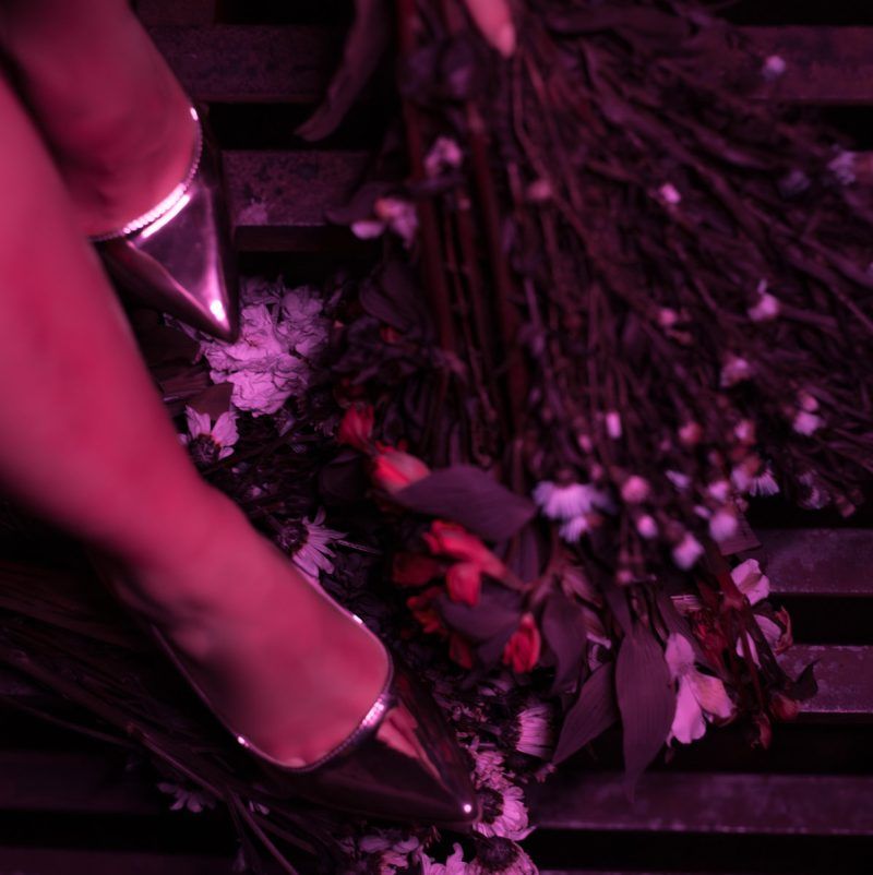 Charity Kill Gathers a Foreboding Bouquet of Retro Synth Flora in “Garden of Earthly Horrors”