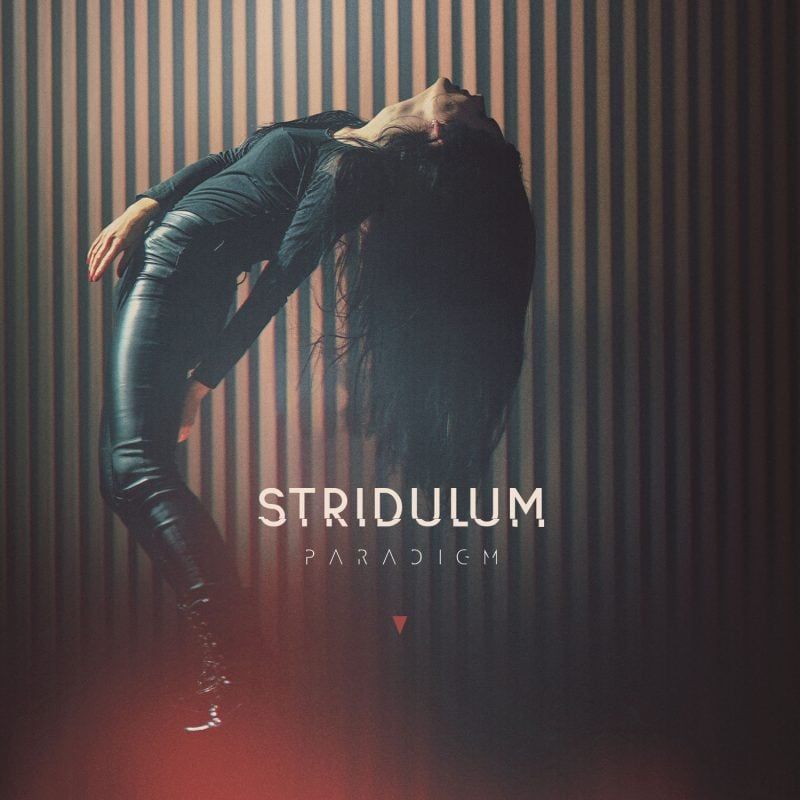 Polish Darkwave Project Stridulum Debuts Video for “Astray” Featuring Manu of Distance H