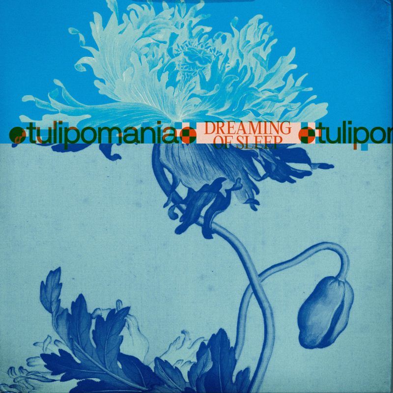 Listen to Philadelphia Art Rock Duo Tulipomania’s “Dreaming of Sleep” LP