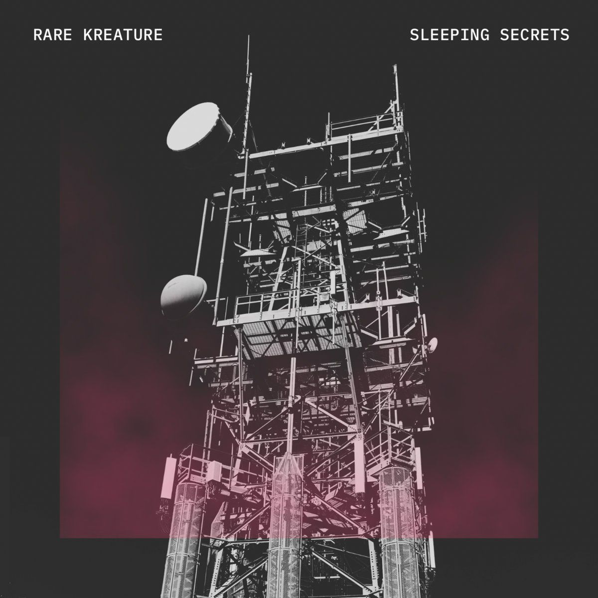 Listen to Cold Whispers of Arizona Post-Punk Trio Rare Kreature’s Haunting New Album “Sleeping Secrets”