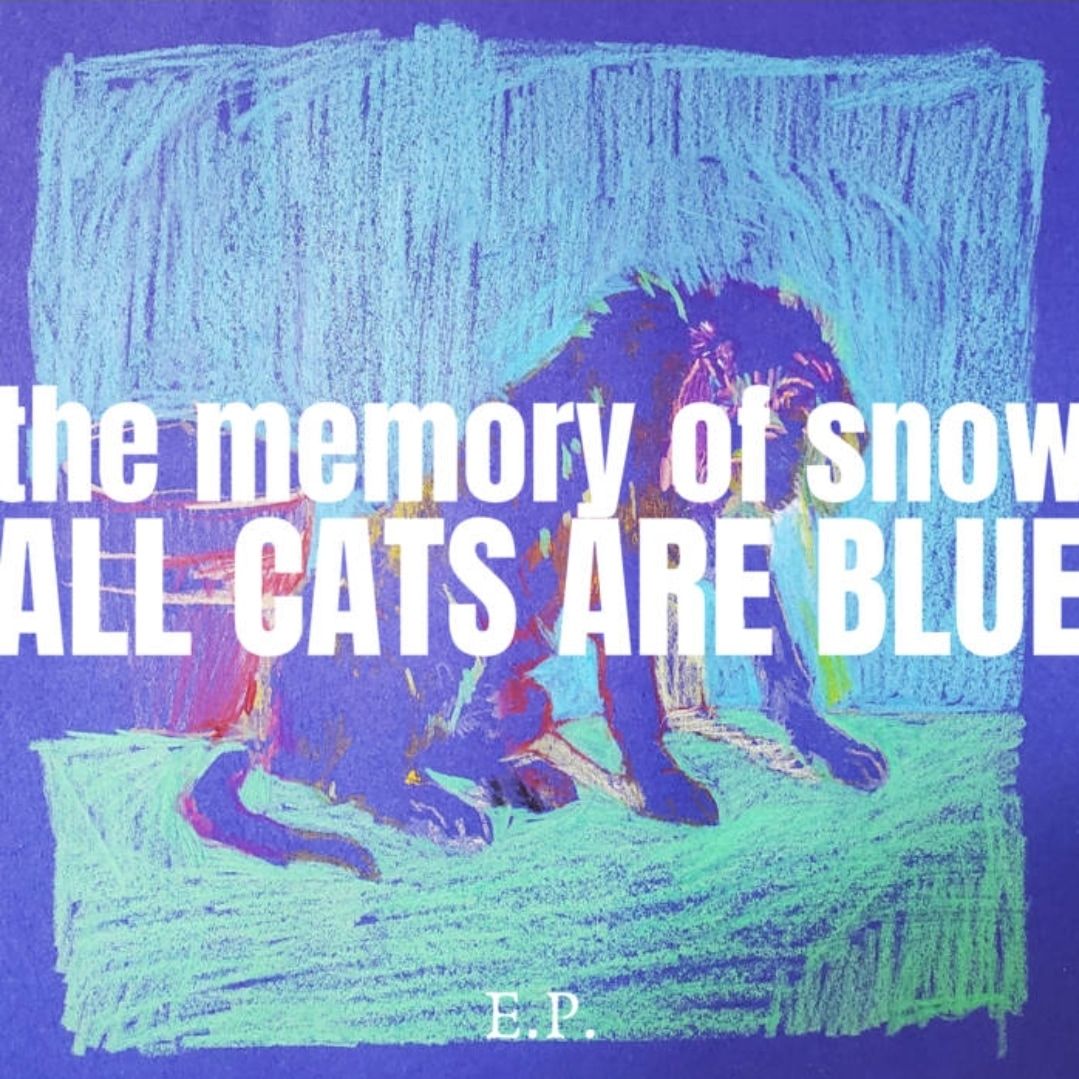 Listen to French Post-Punk Project The Memory of Snow’s “All Cats Are Blue” EP