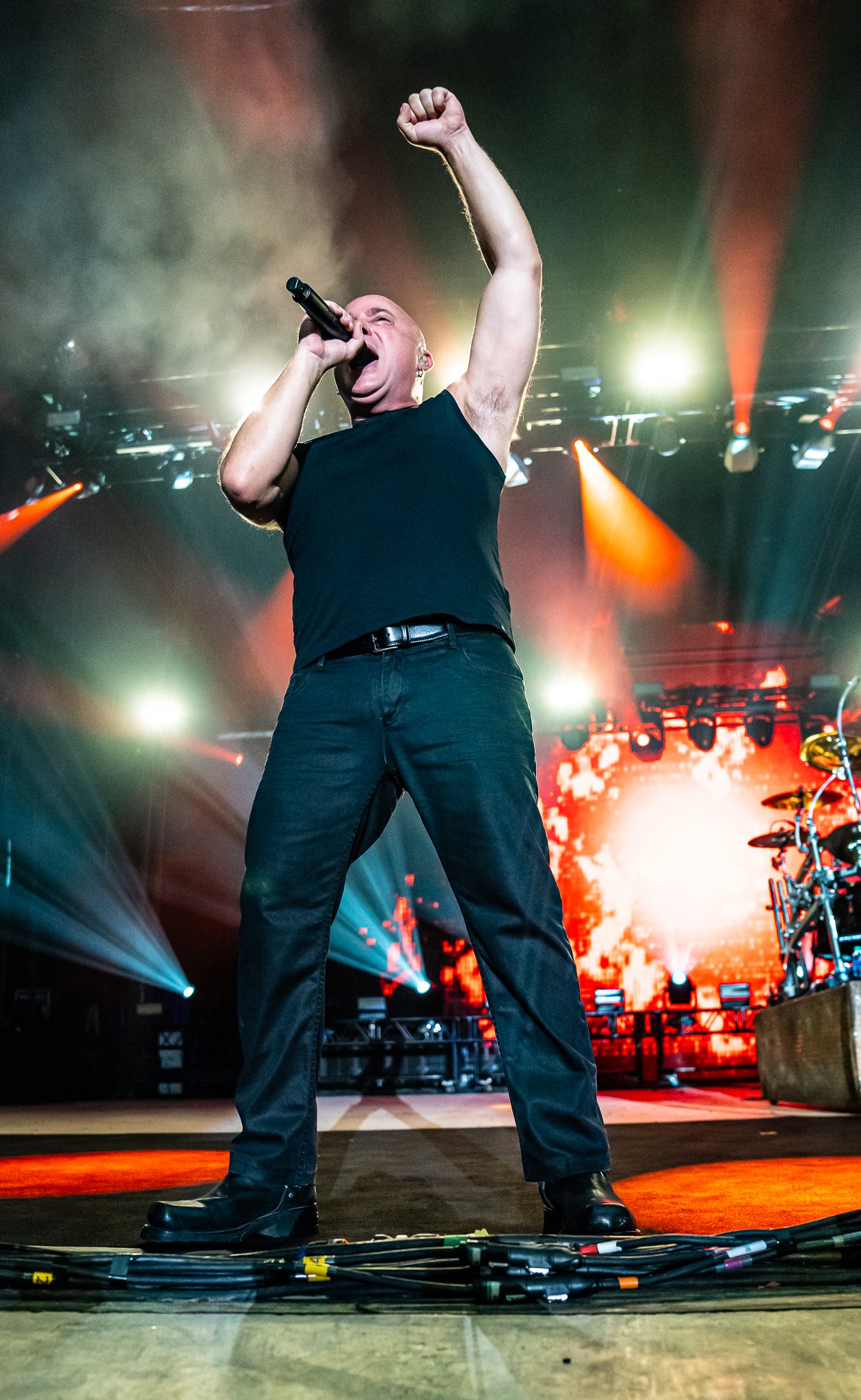 Disturbed 12