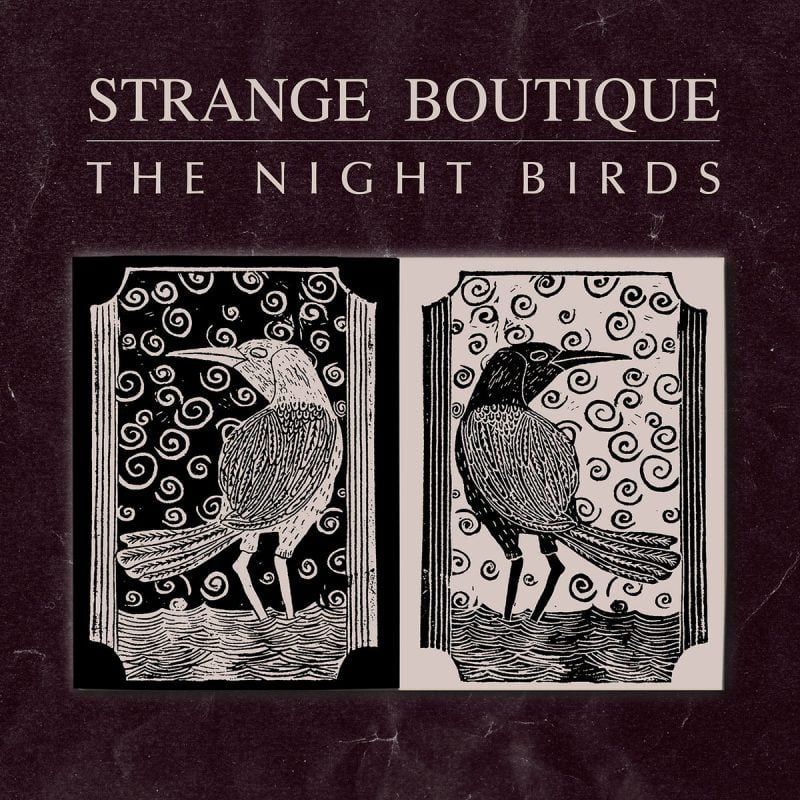 Strange Boutique Returns in Shimmering Twilight With Their Video for “The Night Birds”